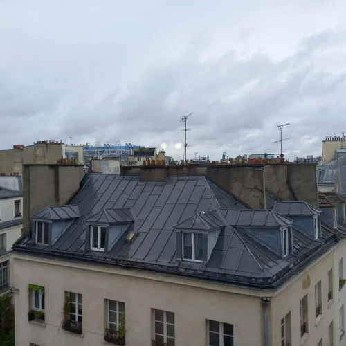 Paris_roof_23