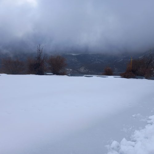 divisione-lp-mp
